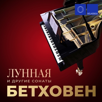 Dmitry Bulgakov – Аллегро (Первая часть из Концертной симфонии No. 105 си-бемоль мажор, Hob.I:105)
