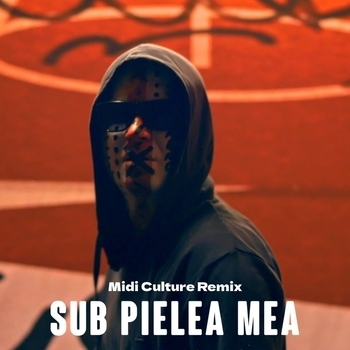 Randi – Prinț Şi Cerşetor (Midi Culture Remix)