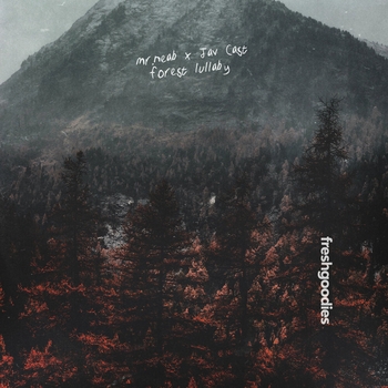 mr.neab – bleak city kicks