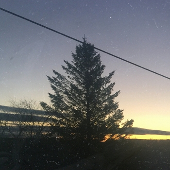 DAEDRA – Maybe