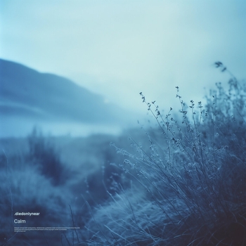 .diedonlynear – Tired