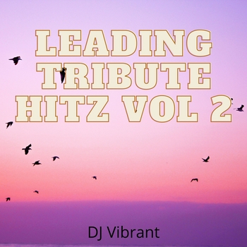 DJ Vibrant – Renegade (Tribute Version Originally Performed By Big Red Machine and Taylor Swift; Explicit)