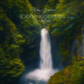 Tim Janis – December Morning