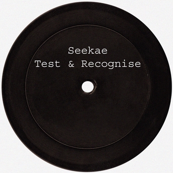 Seekae – Test & Recognise (Flume Edit)