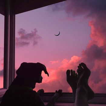 LRN Slime – Long Nights