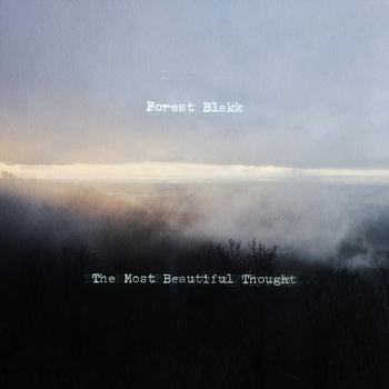 Forest Blakk – Put Your Hands Up