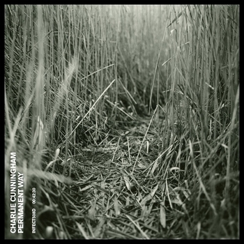 Charlie Cunningham – You Sigh