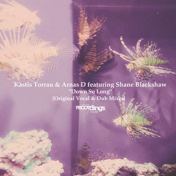 Donatello – Catch 23 (FSOE 544) (Kastis Torrau Instrumental Remix)