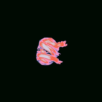 RDLA – Angel