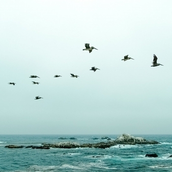 Rain Storm Sample Library – Not Cold