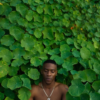 Allday – Wolves