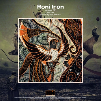 Deephope – Into My Life (Roni Iron Remix)