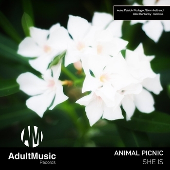 Blancah – Fractals
