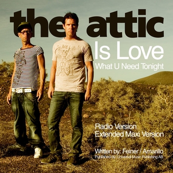 The Attic – Flash in the night (Dim chris remix)