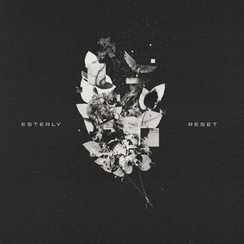 Esterly – Built for Pain