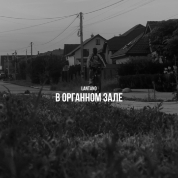 Lantano – Аромат корицы