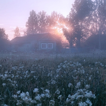 singsoni – Safe place