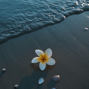 When Waves Cry – Coastal Wave Sounds