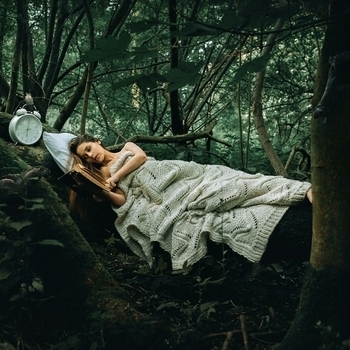 Raindrops Sleep – In the Forest