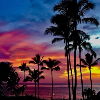 Eco Friendly – Pohai Ke Aloha