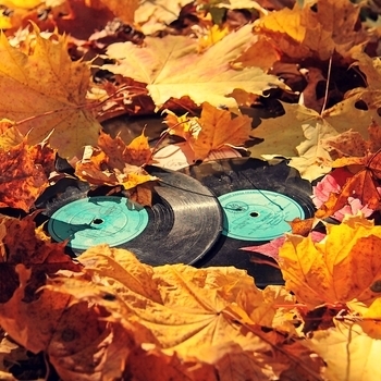 Dirty Pretty Things – Tired Of England (Album version)