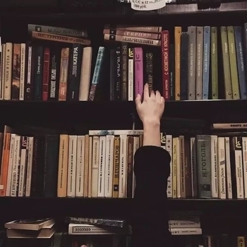 Linior – Novak
