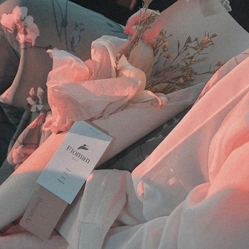 Cap Kendricks – Faded Curtains