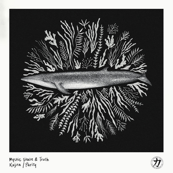 Truth – Burglar